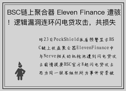 BSC链上聚合器 Eleven Finance 遭骇！逻辑漏洞连环闪电贷攻击，共损失 512 万