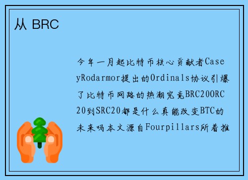 从 BRC